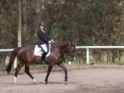 IMG_7916_web